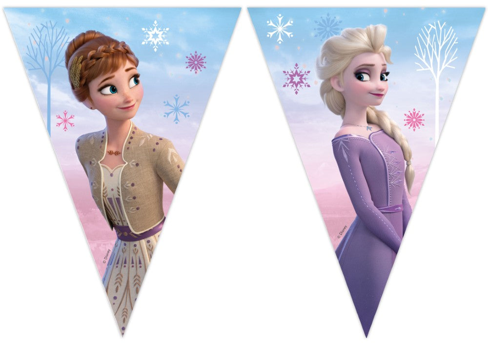 Viirinauha Frozen