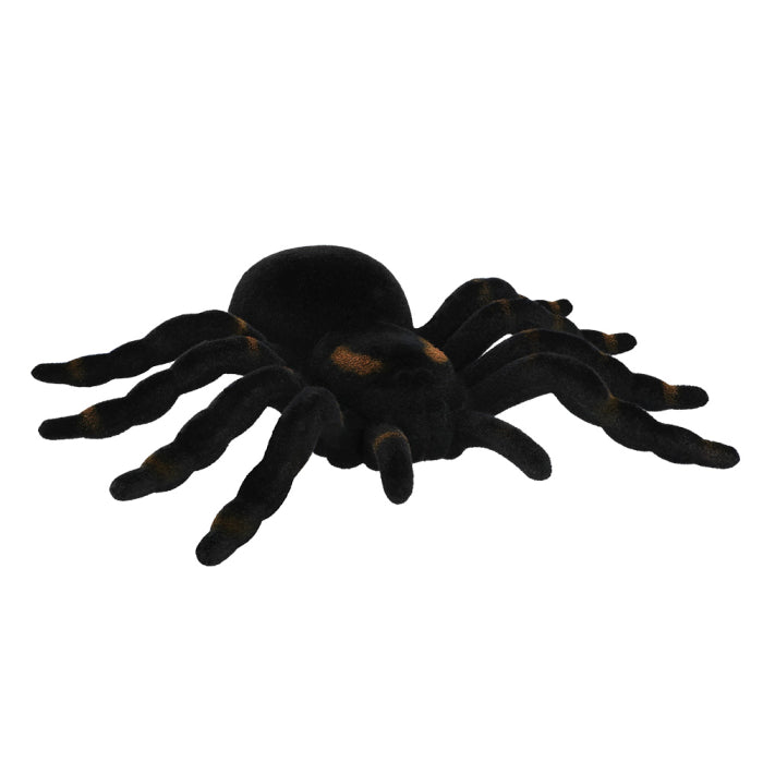 Hämähäkki Tarantula Koriste