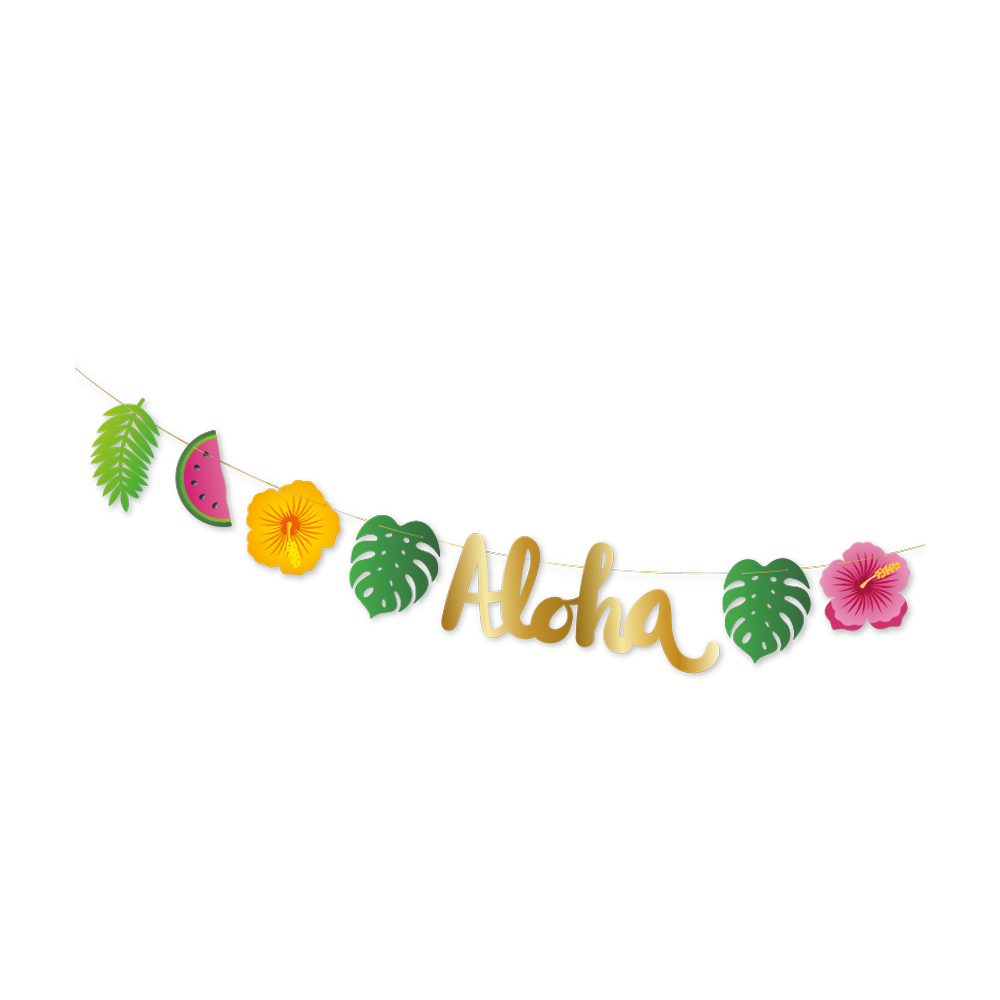 Viirinauha Aloha 2m