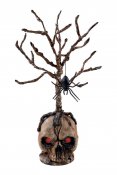 Pkallo (55cm)