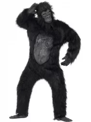Gorilla Asu
