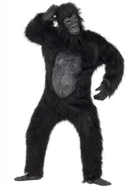 Gorilla Asu