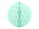 Honeycomb Mintunvihre 20cm
