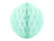 Honeycomb Mintunvihre 30cm