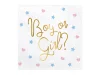 Lautasliina Boy or Girl (20 kpl 33x33cm)