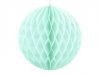 Honeycomb Mintunvihre 10cm