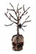 Pkallo (55cm)