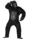 Gorilla Asu