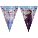 Viirinauha Frozen 2