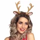 Hiuspanta poronsarvet