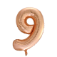 Folionumeropallo Ruusukulta 9 86cm